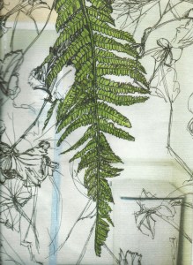 hospital-room-with-fern-smaller