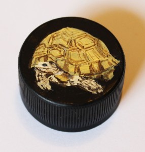 Plough share tortoise - edited and smaller