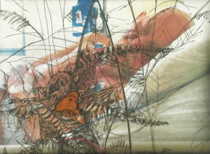 Stuart in hospital with moth on ferns