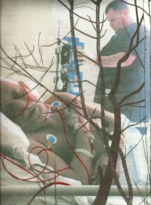 Stuart in hospital bed with trees