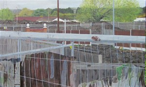 Dale Farm Destruction 2