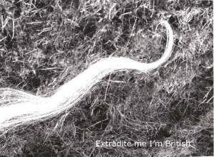 Extradite Me I'm British